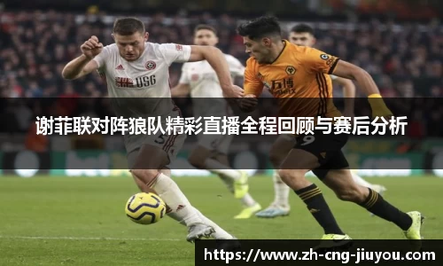 谢菲联对阵狼队精彩直播全程回顾与赛后分析
